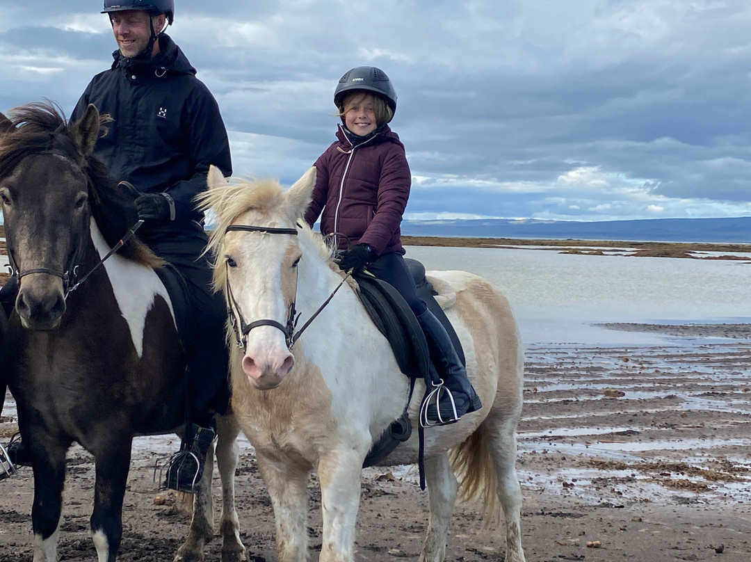 Bakkahestar-Eyrarbakki必去景点