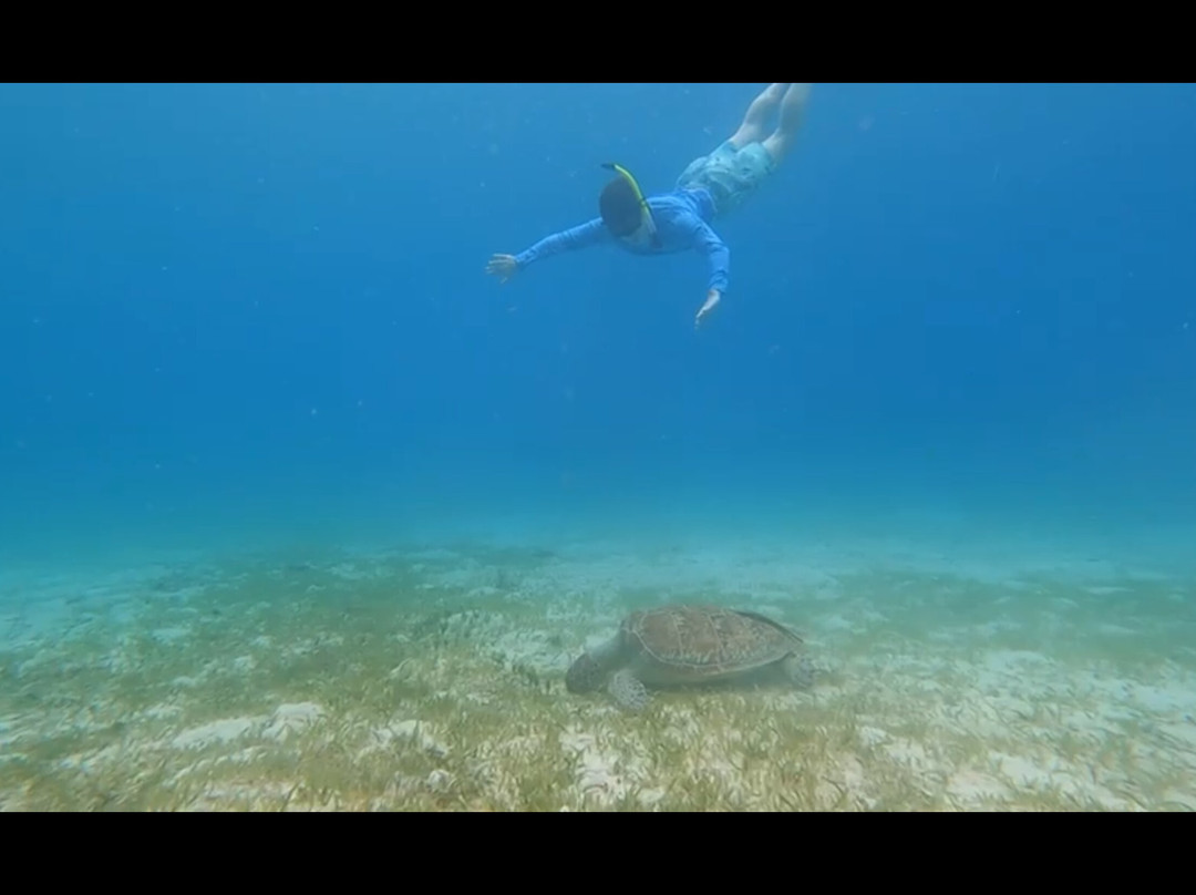 Day Trips BVI-托土拉必去景点