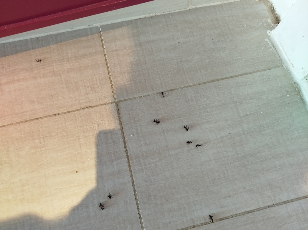 Club Med Yasmina - Morocco主图