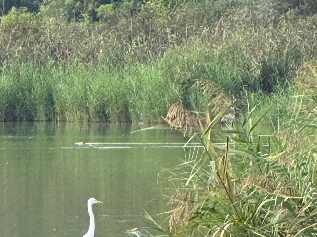 Birding In Italy-Capolona必去景点