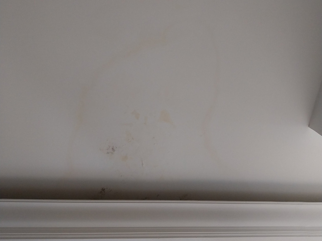 Bed And Breakfast Portuense主图