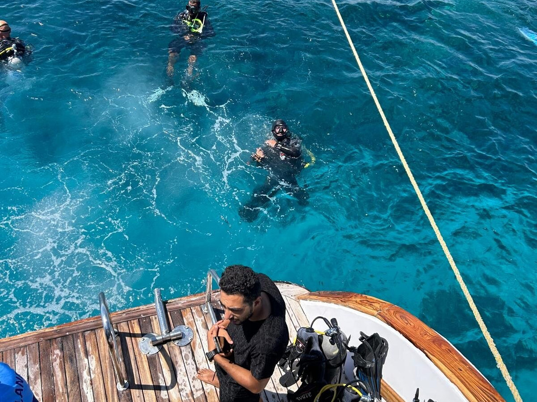 Dive more group-赫尔格达必去景点