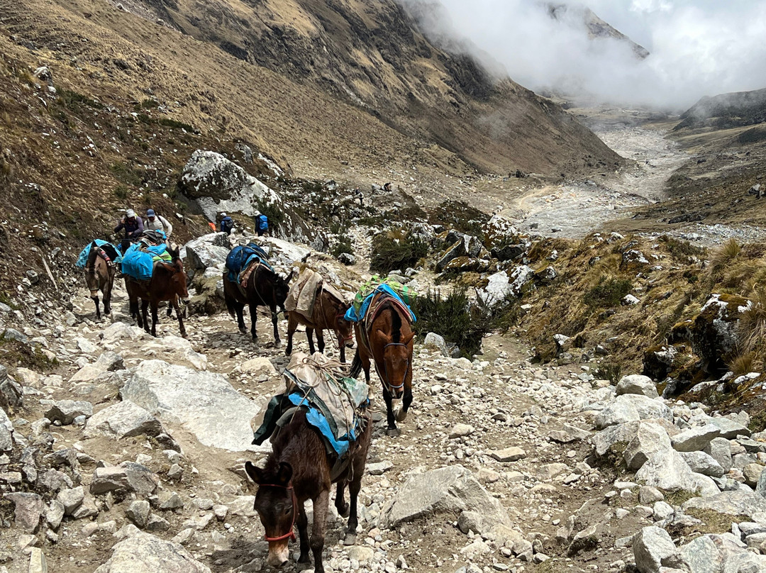 Kuskandes Trek-库斯科必去景点