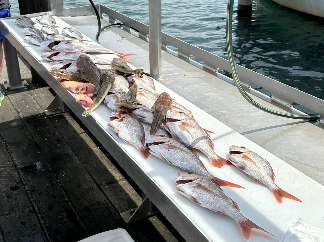 Port Macquarie Fishing Charters-麦克夸利港必去景点