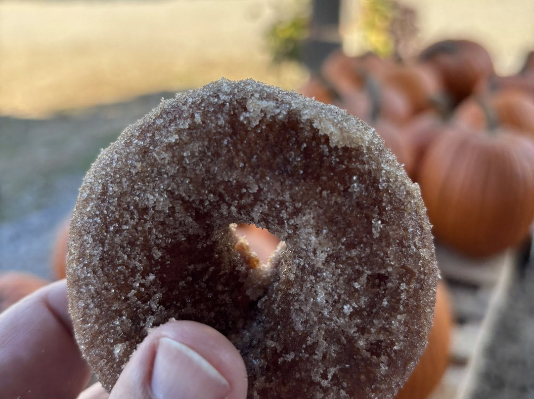 Berlin Orchards-Berlin必去景点