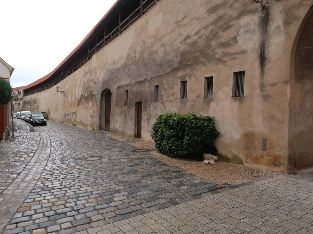 Loepsinger Gate Tower-讷德林根必去景点