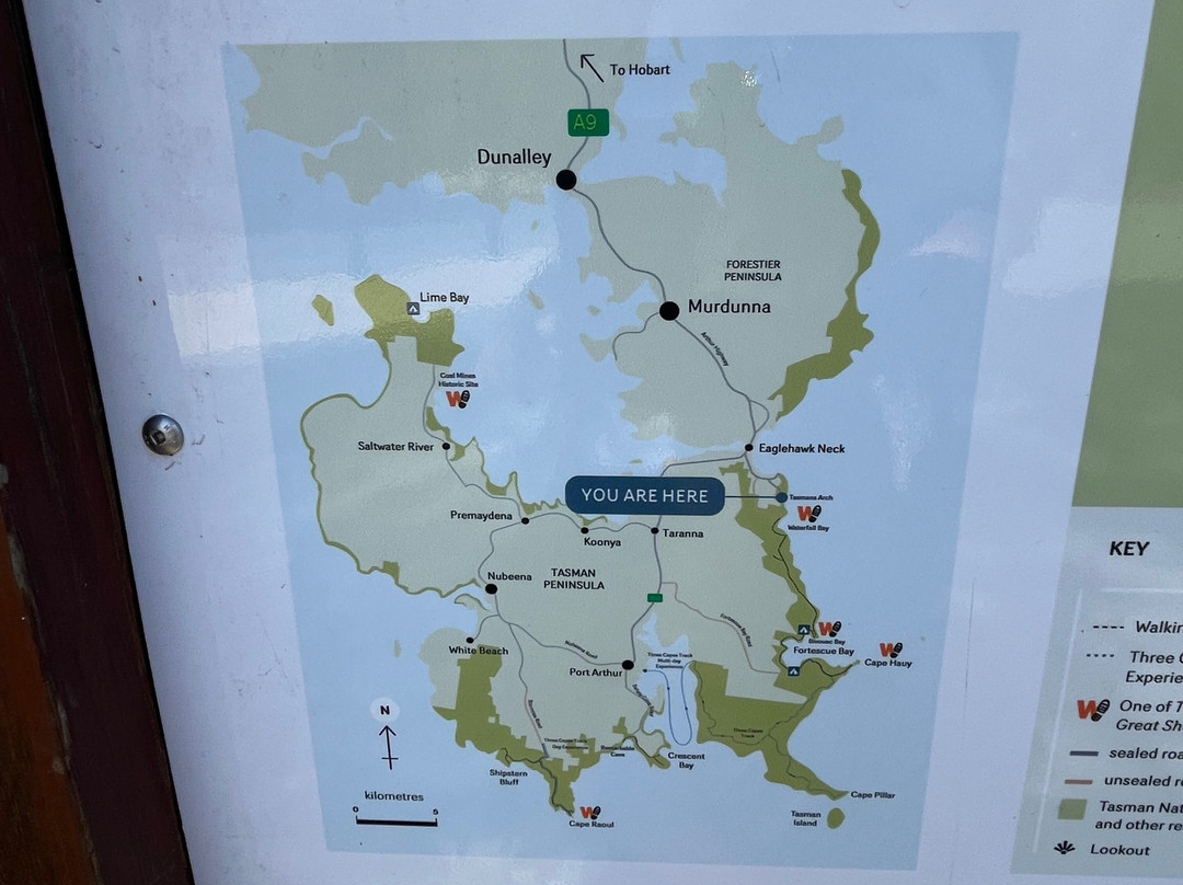 Tasman National Park-伊格尔霍克内克必去景点