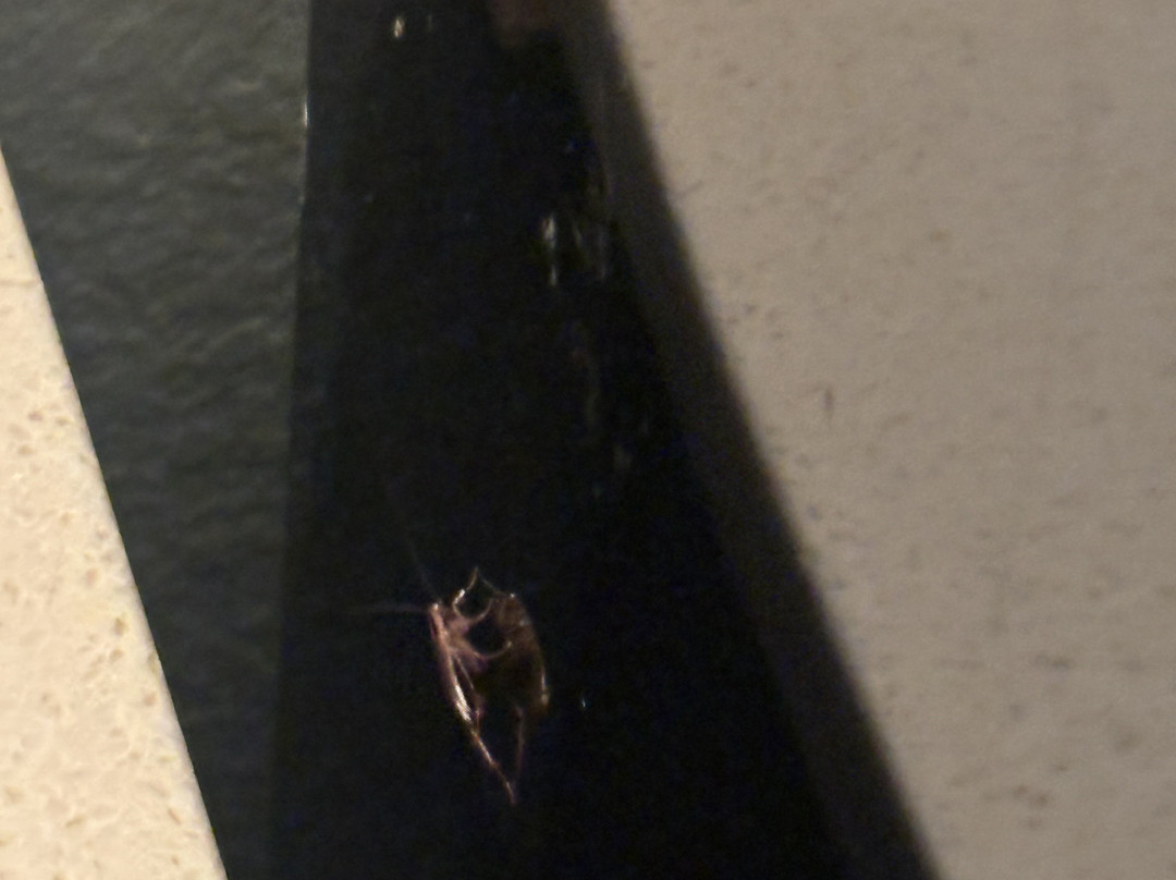 Staybridge Suites Cincinnati North by IHG主图