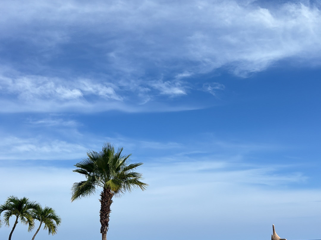 Hotel Palmas De Cortez主图