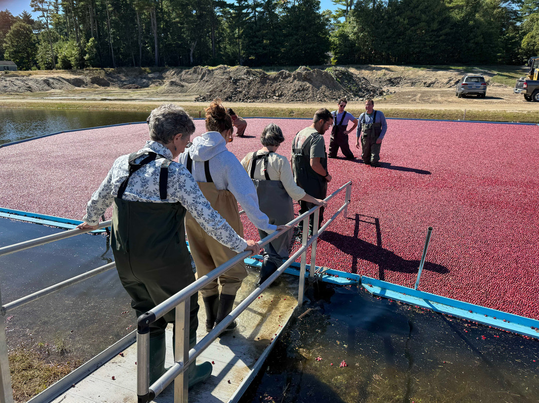 Hartley Family Farm Cranberry Bog Tours-Rochester必去景点