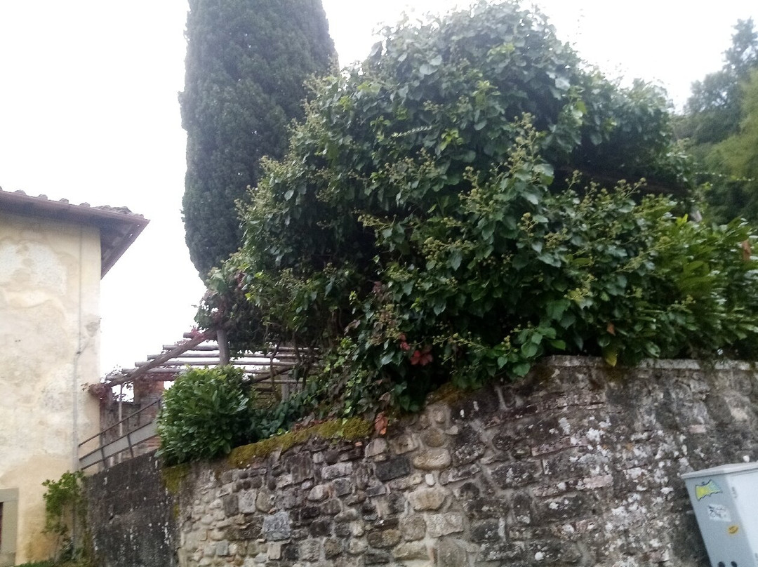 Chiesa di S. Andrea a Barbiana-Vicchio必去景点