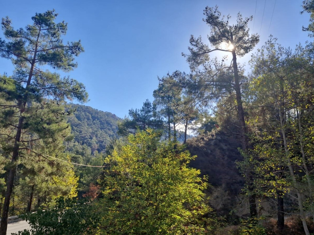 Agros Safari-Agros必去景点