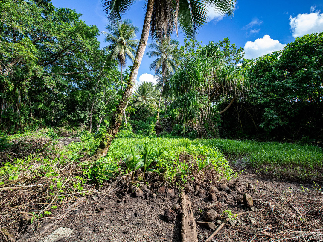 Lelu Island-Kosrae必去景点