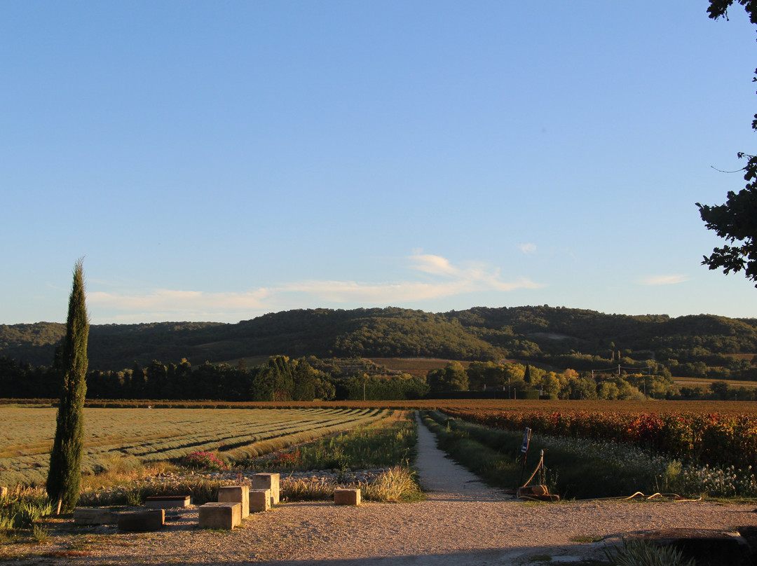 Domaine Des Lauribert-Visan必去景点