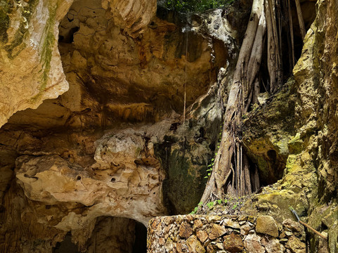 Amigo Tours-瓜达拉哈拉必去景点