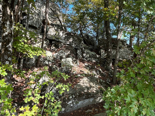 Wilderness Rider Buffalo Ranch & Adventure Park-Kingston必去景点