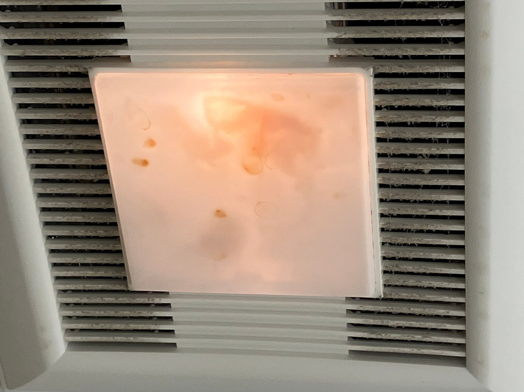 Holiday Inn Express & Suites Gaylord By IHG主图