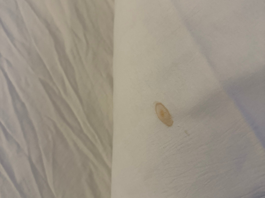 Hotel Le Marintan主图