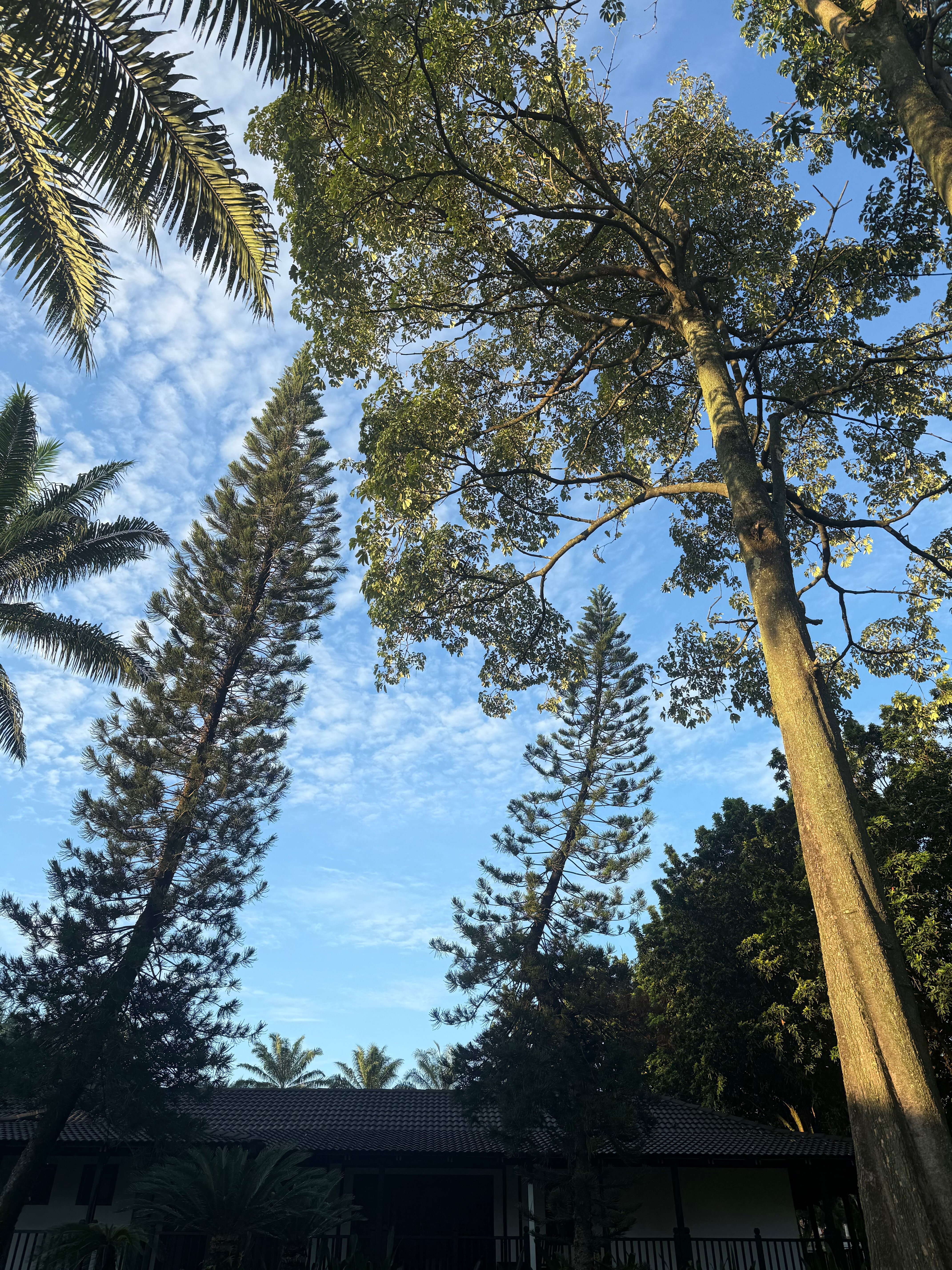 Cyberview Resort & Spa-官方