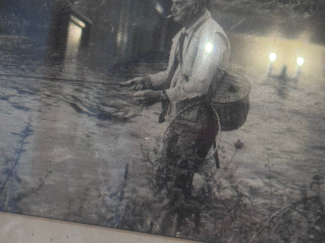 Zia Pizza - Salisbury