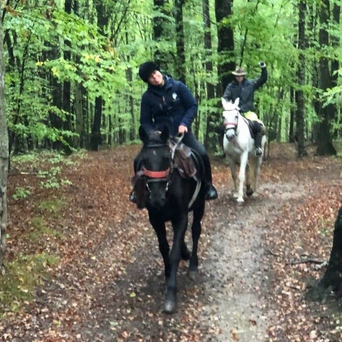 Count Kálnoky's Riding Holidays-Valea Crisului必去景点