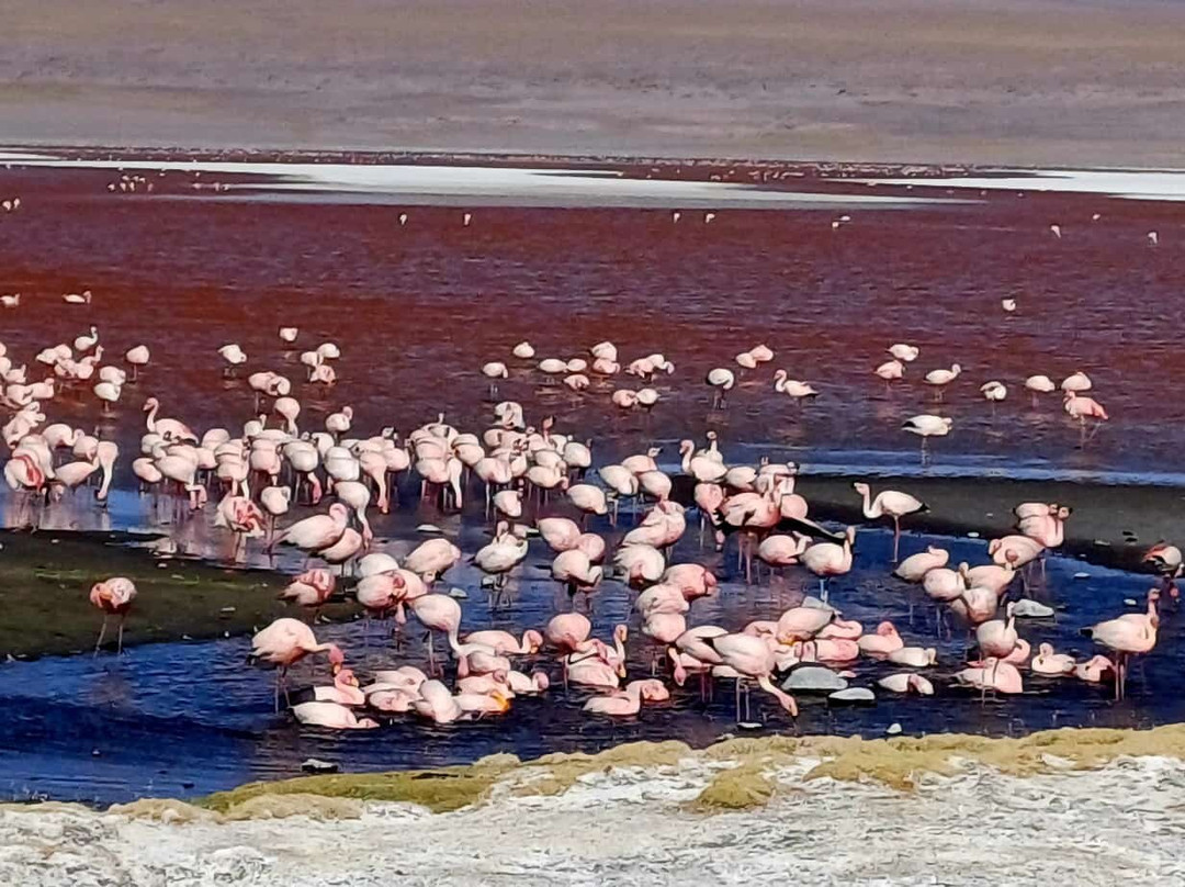 Banjo Tours-拉巴斯必去景点