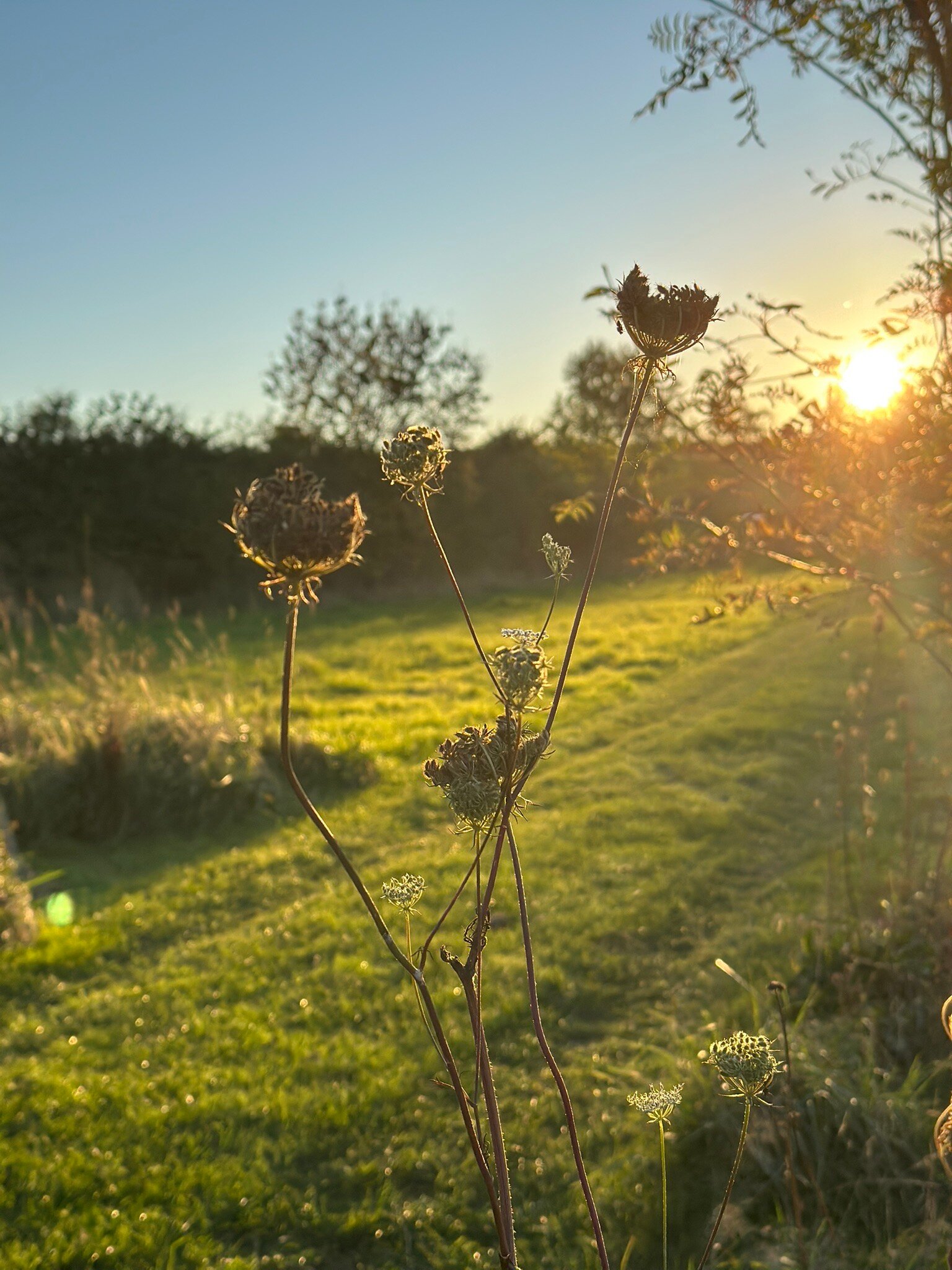 Westfield House Farm Bed and Breakfast-官方