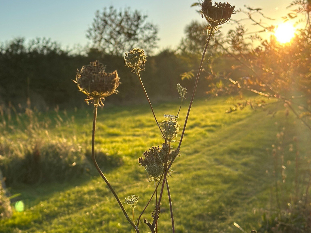 Westfield House Farm Bed and Breakfast主图