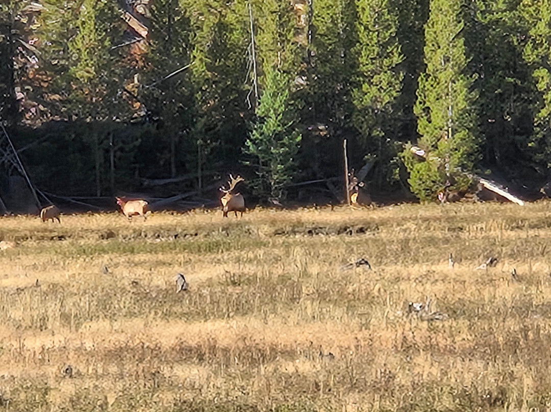 黄石西门酒店主图
