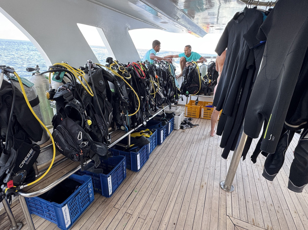 3 Turtles Diving Center-Safaga必去景点