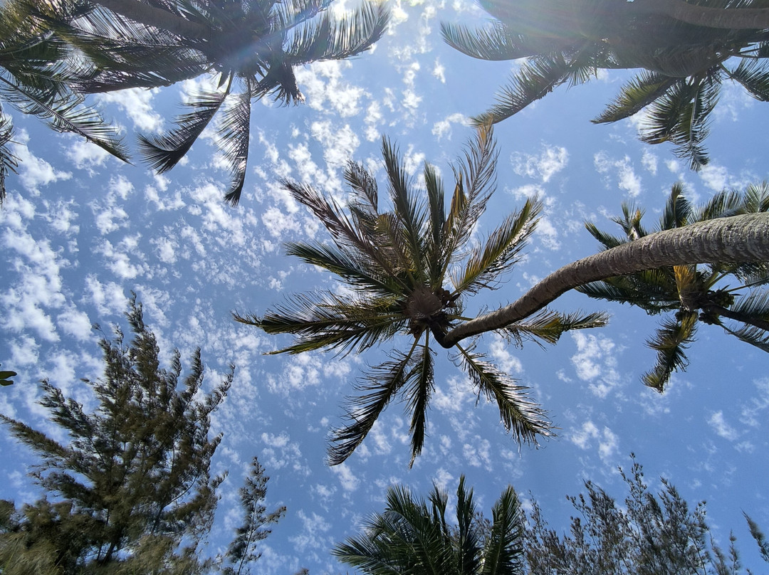 F-Zeen Boutique Hotel Zanzibar主图