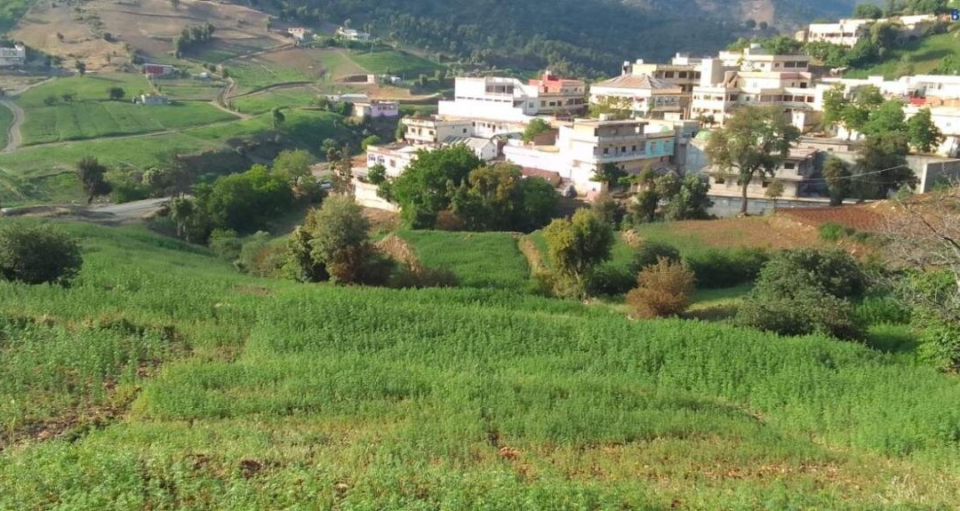 Maison D'hote Bizi Hassan