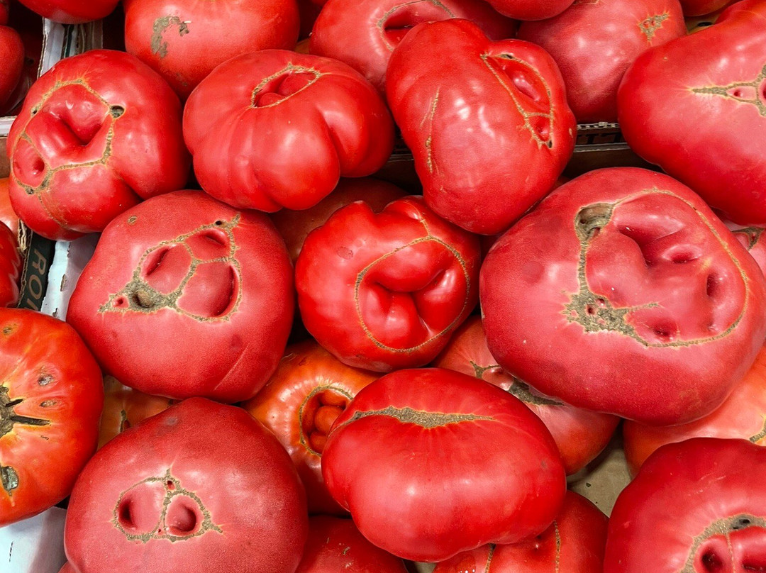 WNC Farmers Market-阿什维尔必去景点