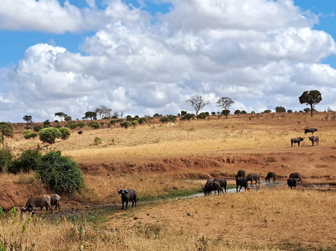 Aventure Safaris-蒙巴萨必去景点