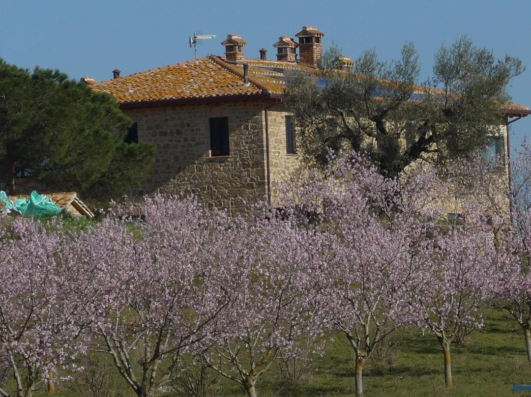 Agriturismo Il Sassolino