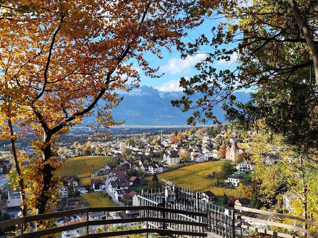 Vaduz Castle-瓦杜兹必去景点