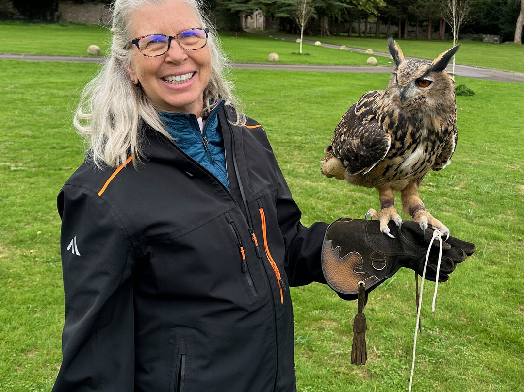 Walks With Hawks-切尔滕纳姆必去景点