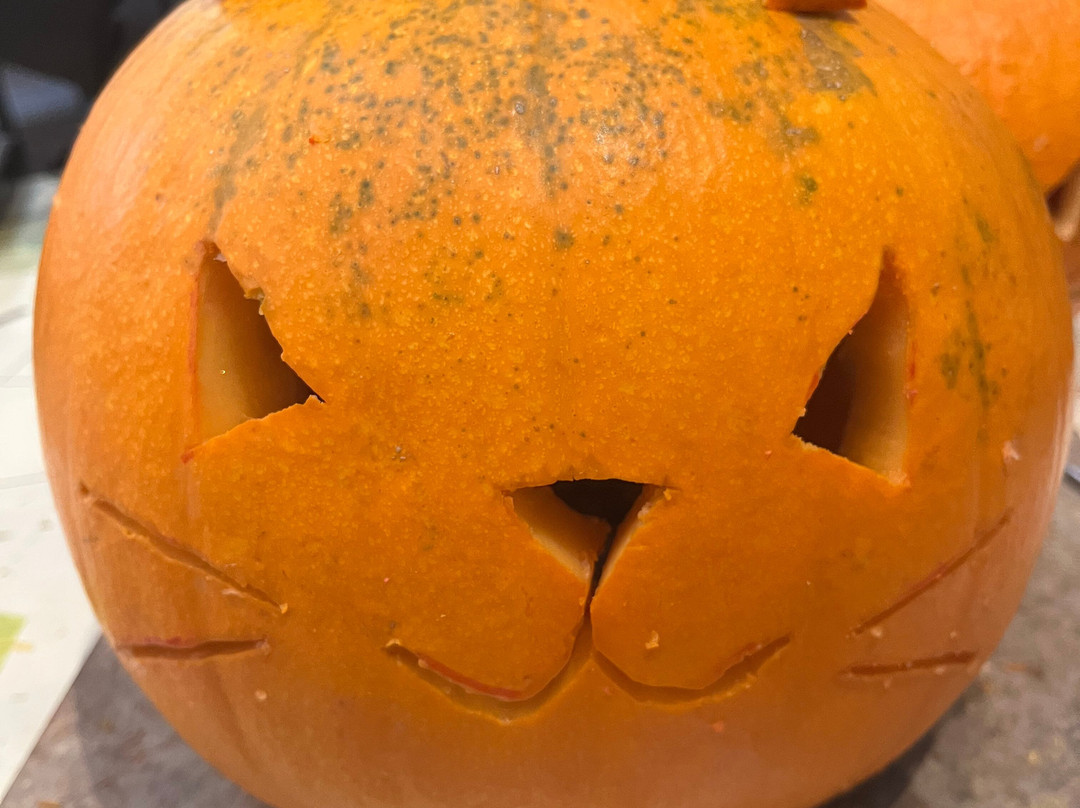 Riverhill Himalayan Gardens-Sevenoaks必去景点