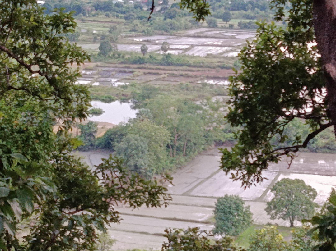 Dolphins Watching Tour And Sightseeing-Kratie必去景点