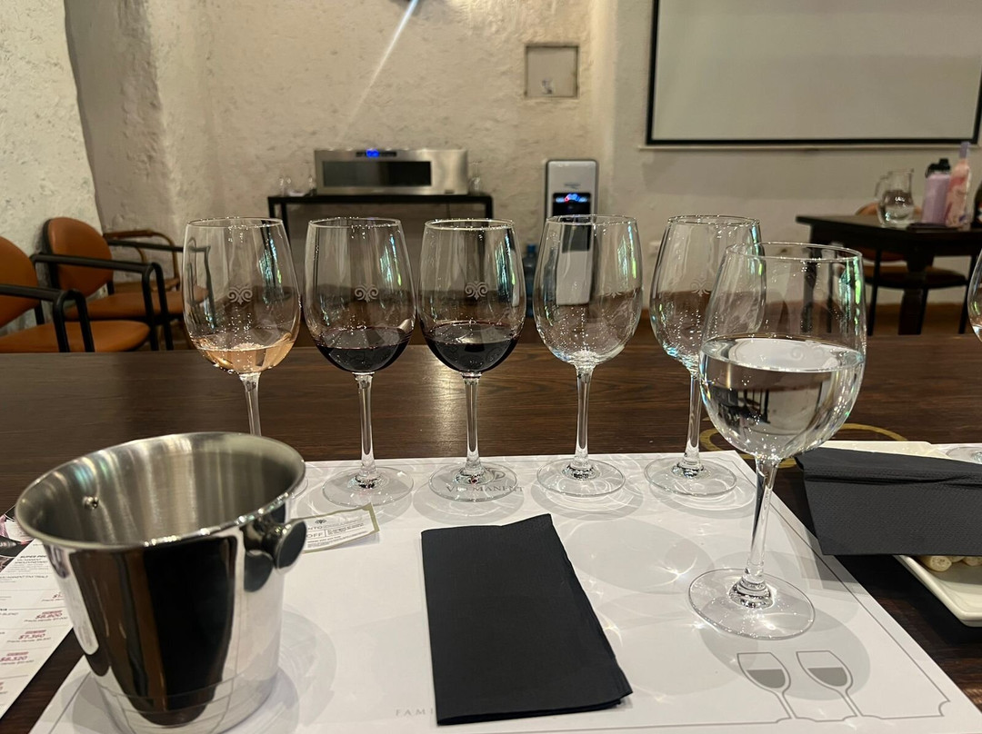 Viu Manent-圣克鲁斯必去景点