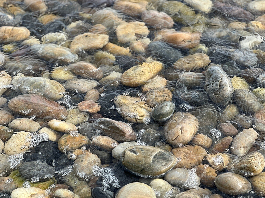 Lillico Beach Conservation Area-Lillico必去景点