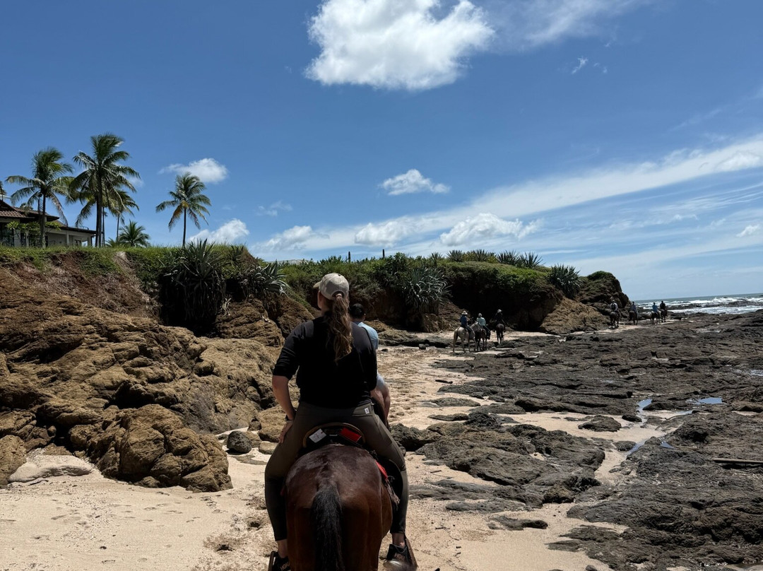 Guti Tours-Playa Avellanas必去景点