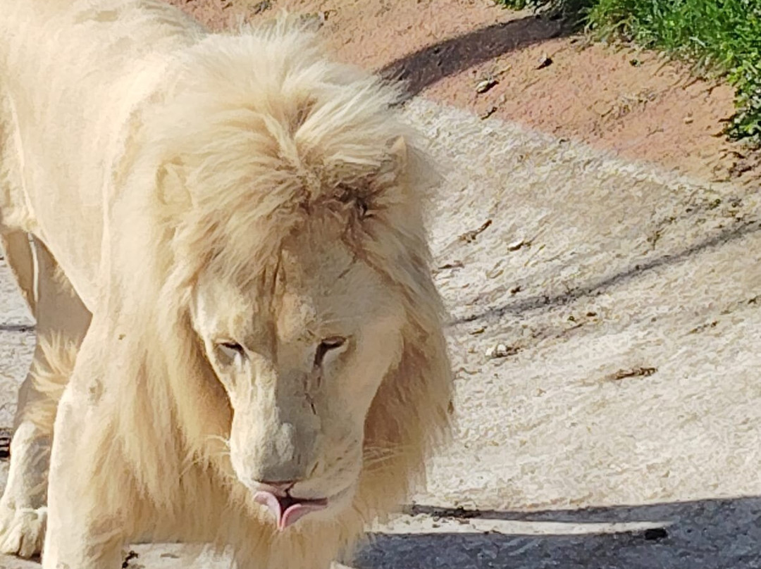 La Tanière - Zoo Refuge-Nogent-le-Phaye必去景点
