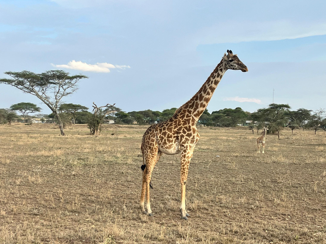 FB Tanzania Expeditions-阿鲁沙必去景点