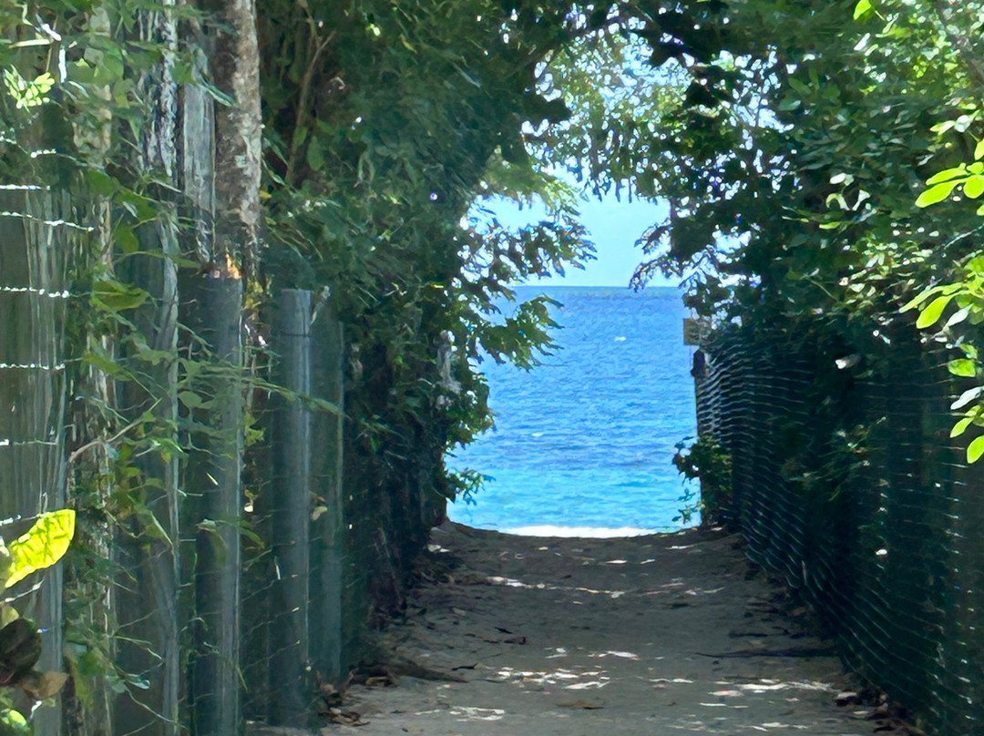 Martinicantravel - Viaggi In Martinica-Chiasso必去景点