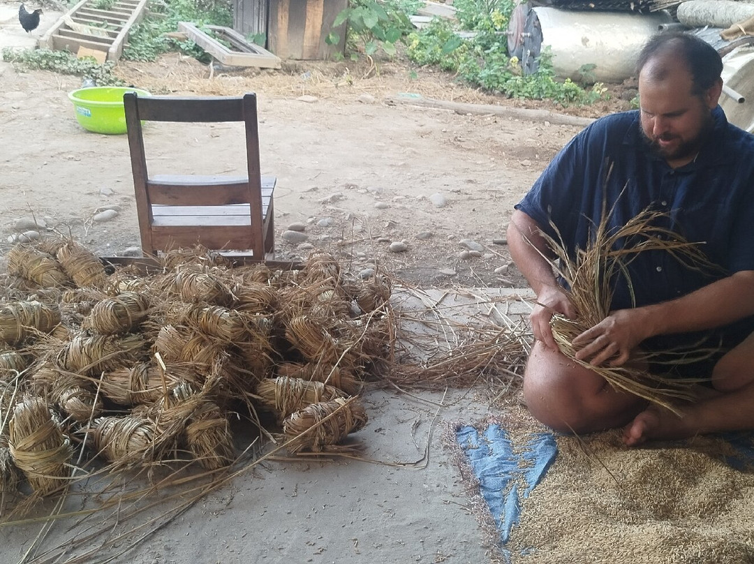 Elephant Dung Paper-Ratnanagar必去景点