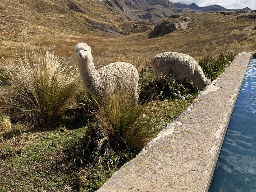 Scheler Artizon Trek-瓦拉斯必去景点