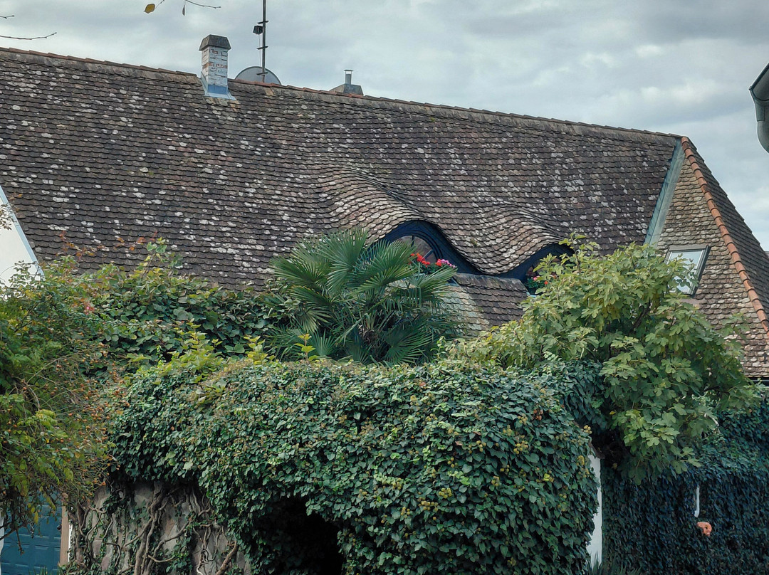 Old Town-圣安德烈必去景点