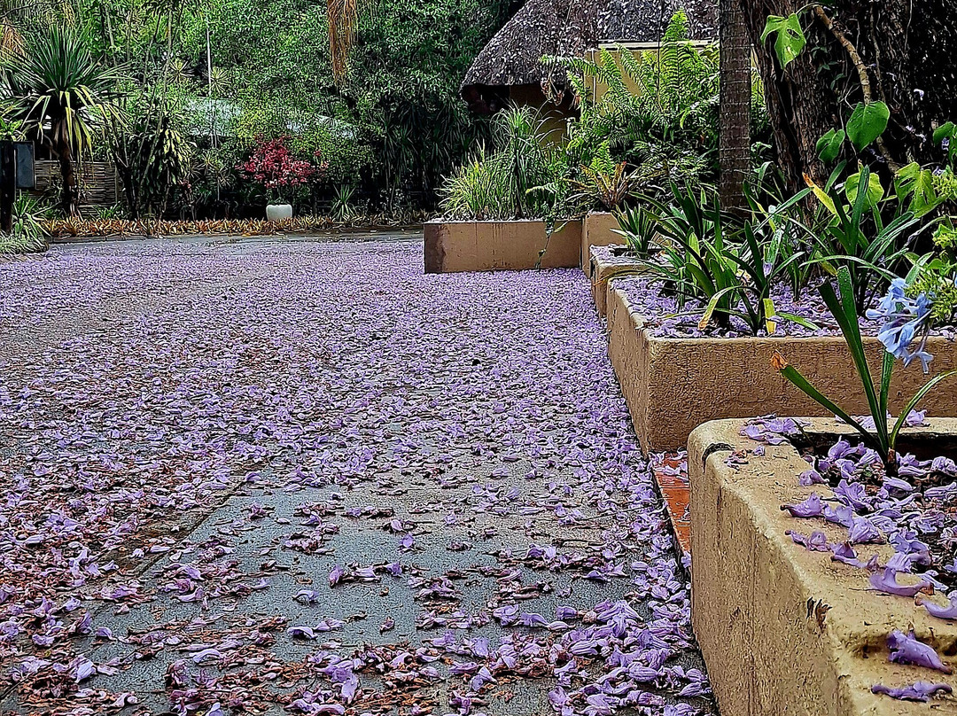 努比花园套房酒店主图