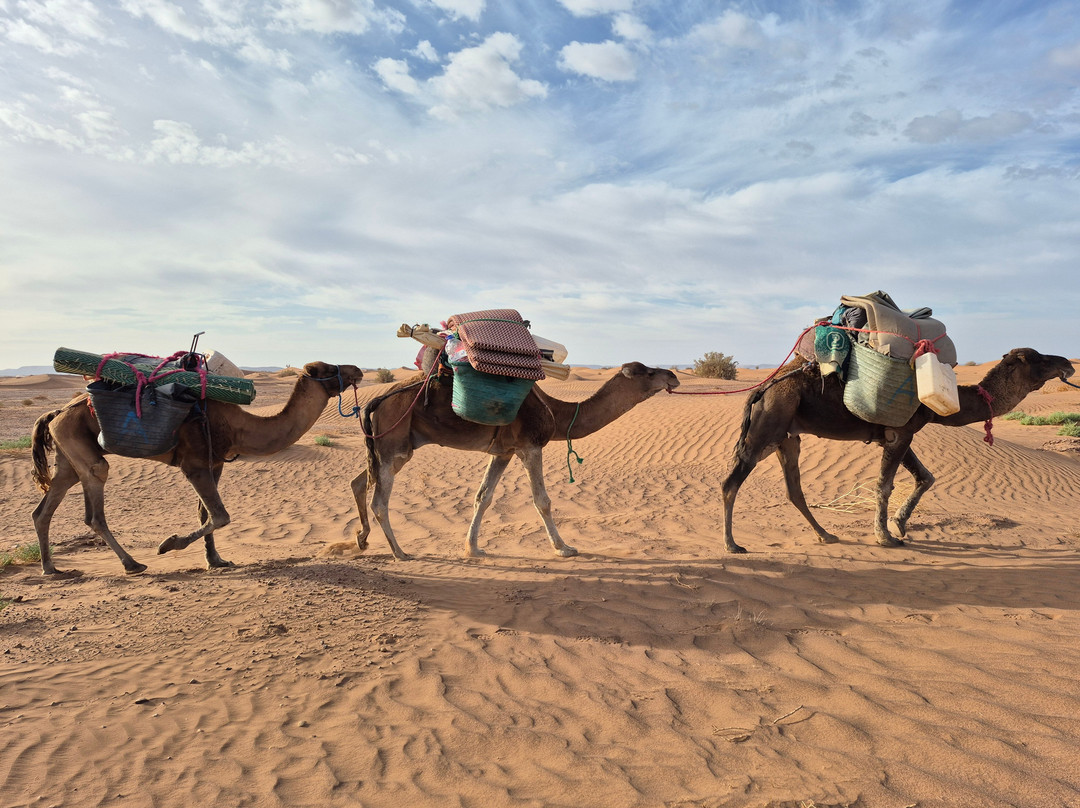 Eco Tourisme Trek Maroc-Azilal必去景点